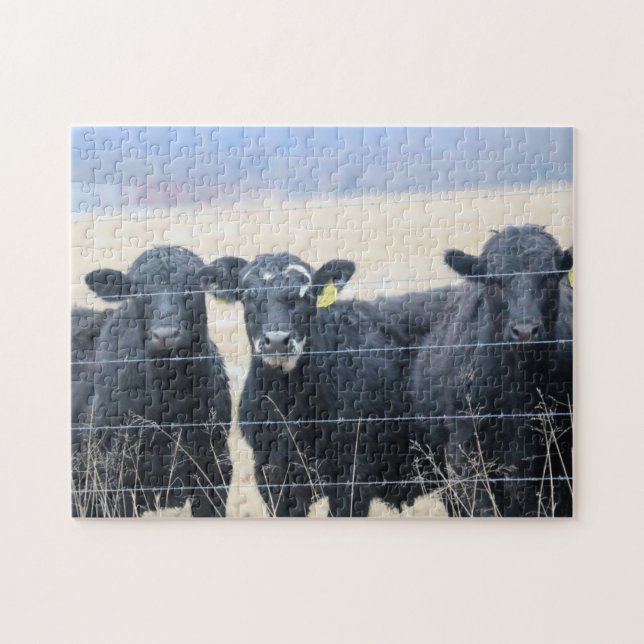 Bovine bystanders (Horizontal)
