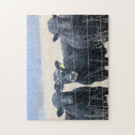 Bovine bystanders