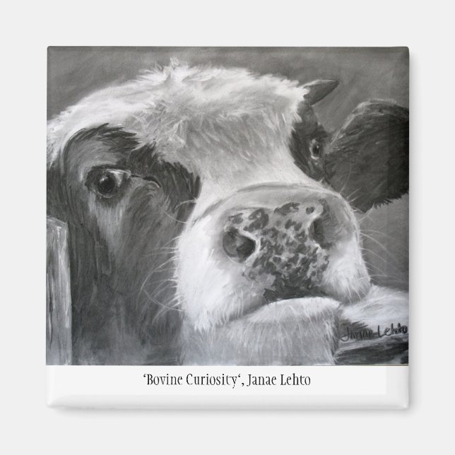 Bovine Curiosity Magnet (Vorne)