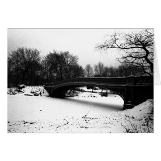 Bow Bridge Winter Central Park NYC