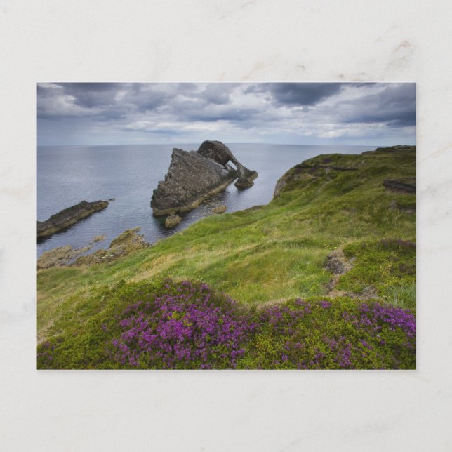 Bow Fiddle Rock, Portknockie, Schottland Postkarte (Vorderseite)