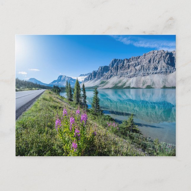 Bow Lake Banff National Park Kanada Reisen Postkarte (Vorderseite)