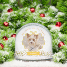 Bow Ribbon Glittering Pet Memory Foto Weiß