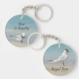 Bow to Pourcentage photo Royal Tern Fun Beachy