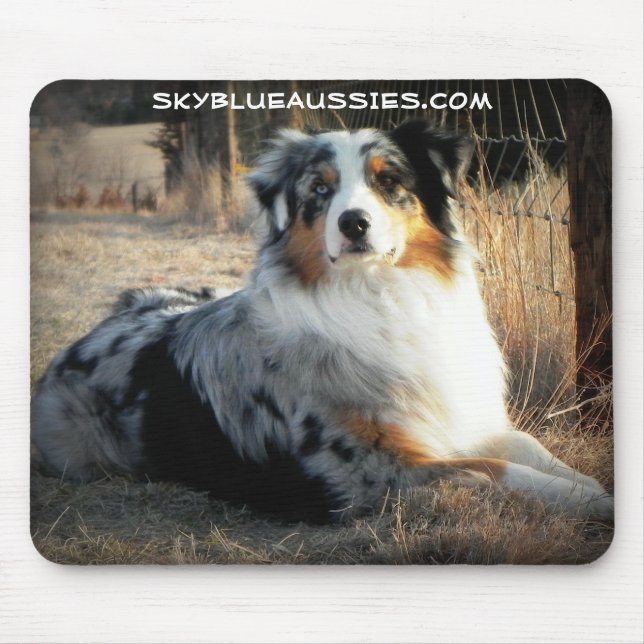Bowdie - Himmel-Blau-australische Mausunterlage Mousepad (Vorne)