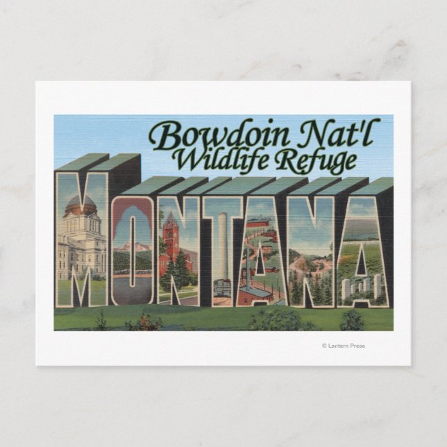 Bowdoin Nat'l Wildlife Refugium, Montana Postkarte (Vorderseite)