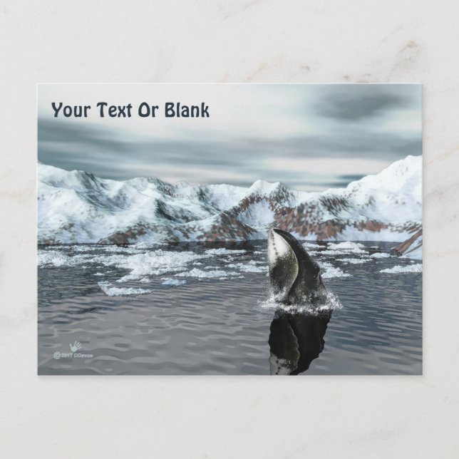 Bowhead Whale Postkarte (Vorderseite)