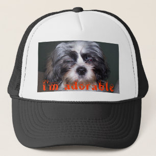 Bowie der flockige Shih Tzu bin ich entzückende Truckerkappe