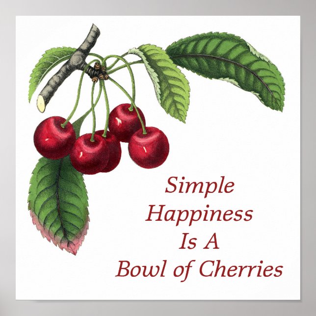 Bowl of Cherries Fruchtlebensmittel Zitat Red Gree Poster (Vorne)