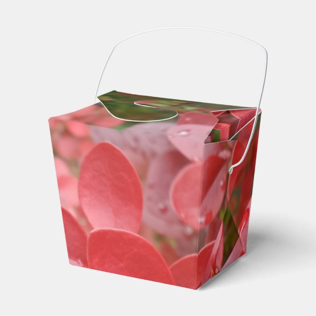 Box "Abnehmen" mit roten Blättern Geschenkschachtel (Vorderseite)