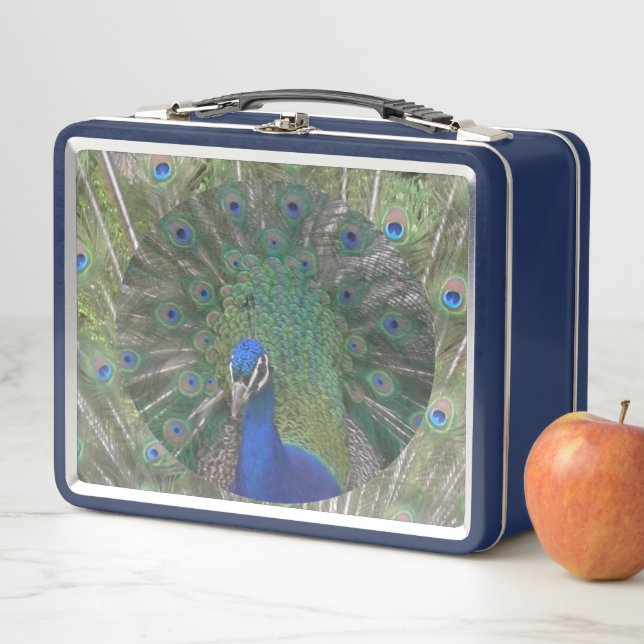 Box Boîte à lunch Peacock (En situation)
