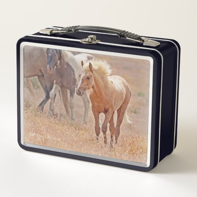 Box Boîte à lunch pour le poulain de cheval sauvage (Devant)