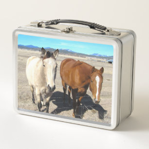 Box Boîte à lunch pour les chevaux