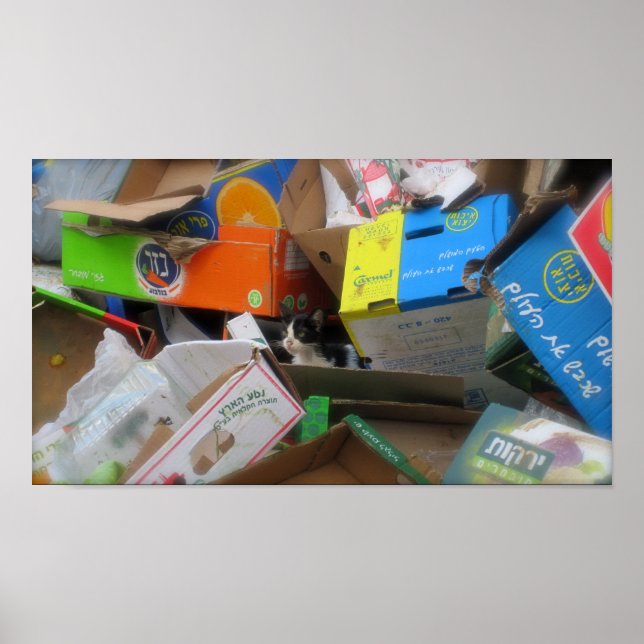 Box Cat 2 Poster (Vorne)