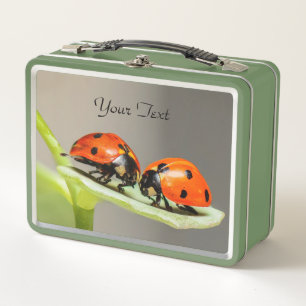 Box Ladybugs Beetles Boîte à lunch en métal