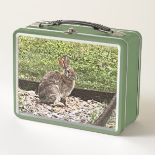 Box Lapin sauvage près du Jardin, boîtes à lunch