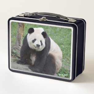 Box Panda Tian Tian Boîte à lunch en métal