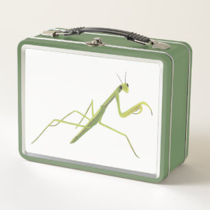 Box Priez Mantis sur les boîtes à lunch arrière - plan