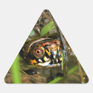 Box Turtle and Tadpoles Dreieckiger Aufkleber