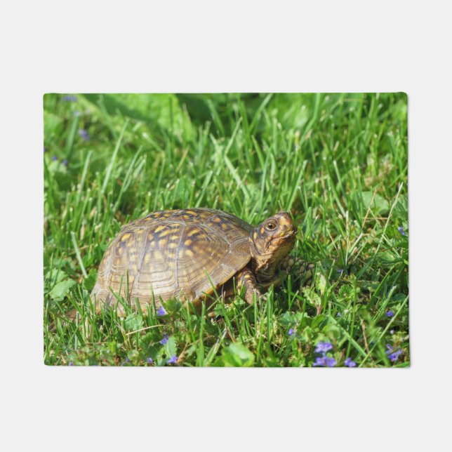 Box Turtle Fußmatte (Vorderseite)