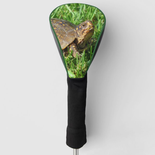 Box Turtle Golf Head Cover Golf Headcover (Vorderseite)