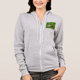 Box Turtle Hoodie