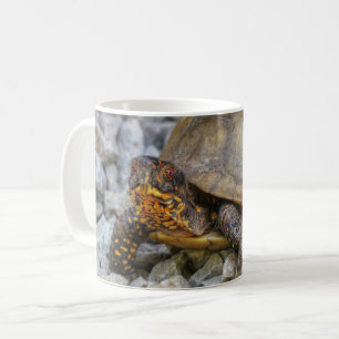 Box Turtle Kaffeetasse