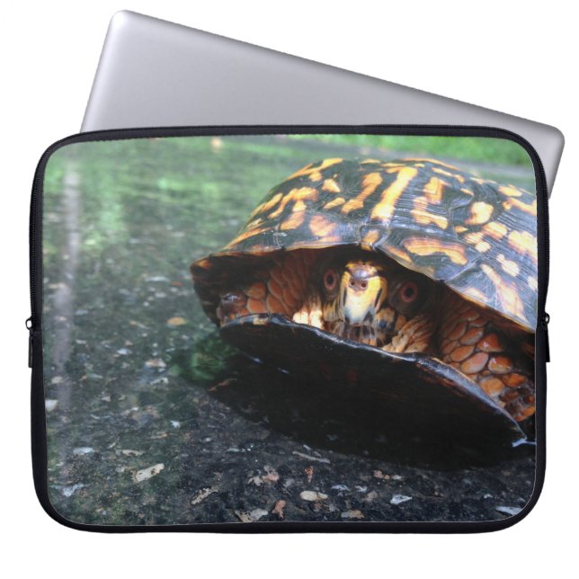 Box Turtle Laptopschutzhülle (Vorderseite)