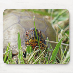 Box Turtle Mousepad
