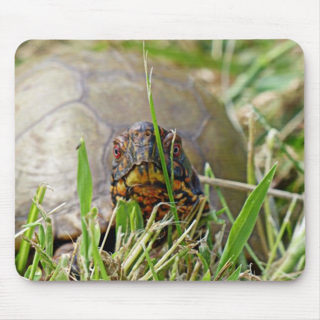 Box Turtle Mousepad (Vorne)