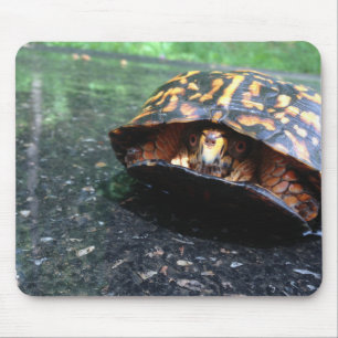 Box Turtle Mousepad