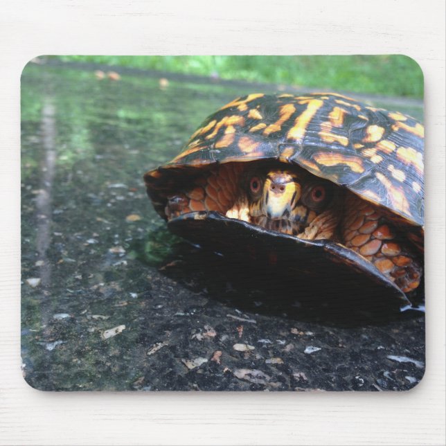 Box Turtle Mousepad (Vorne)
