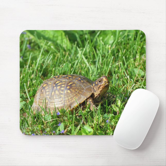 Box Turtle Mousepad (Mit Mouse)