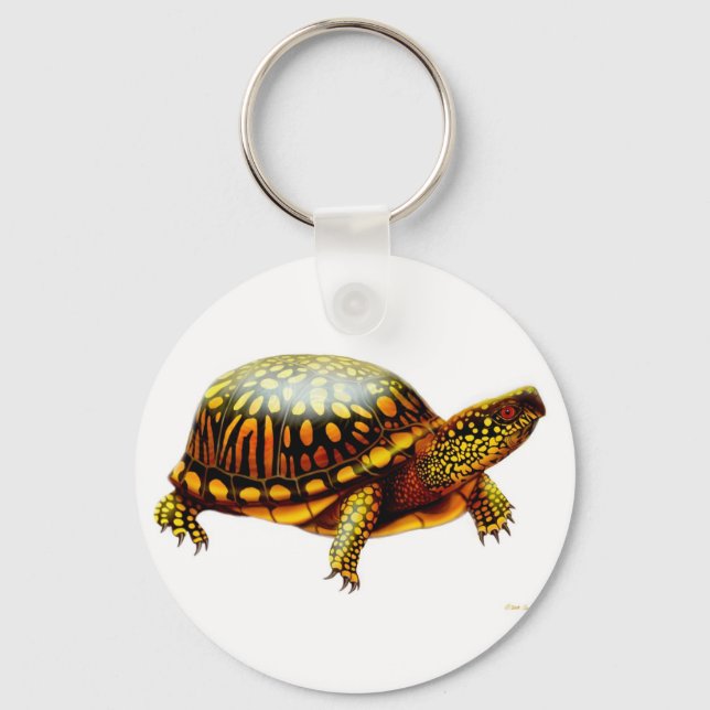 Box Turtle Schlüsselanhänger (Vorderseite)