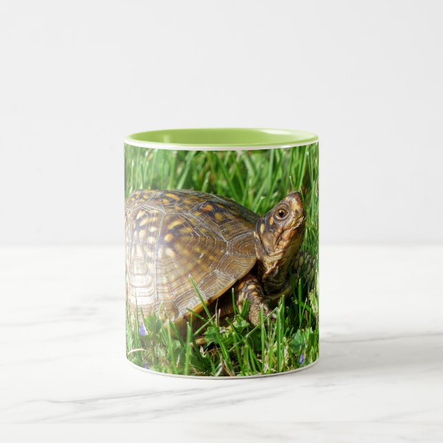 Box Turtle Zweifarbige Tasse (Mittel)