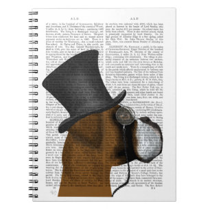 Boxe, livre officielle et Casquette