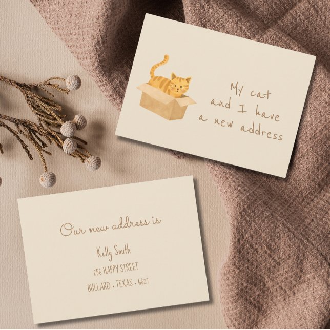 Boxed & Bounded Cat Moving Ankündigung (Von Creator hochgeladen)