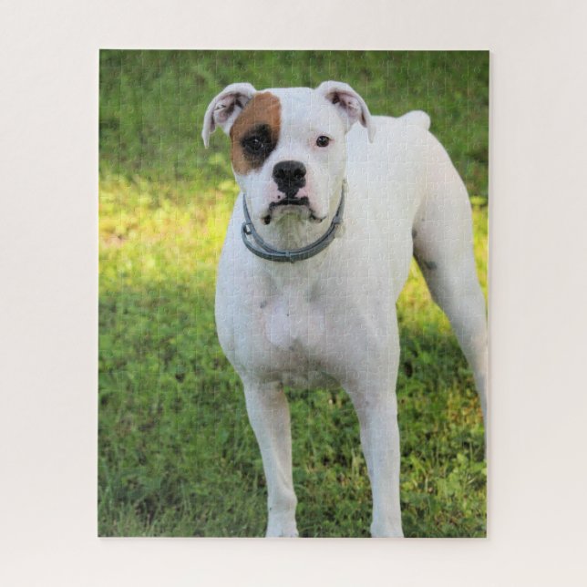 Boxer (Vertikal)