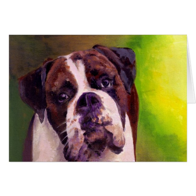 Boxer (Vorderseite (Horizontal))