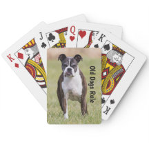 Boxer-alte Hunderegel