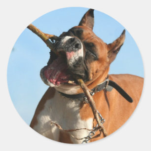 Boxer-Aufkleber Runder Aufkleber