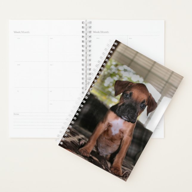 Boxer bébé (Devant avec enveloppe)