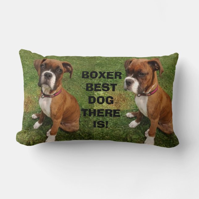 BOXER BEST DOG ES GIBT Kissen (Vorderseite)