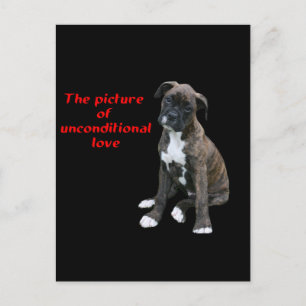 Boxer:  Bild der bedingungslosen Liebe Postkarte