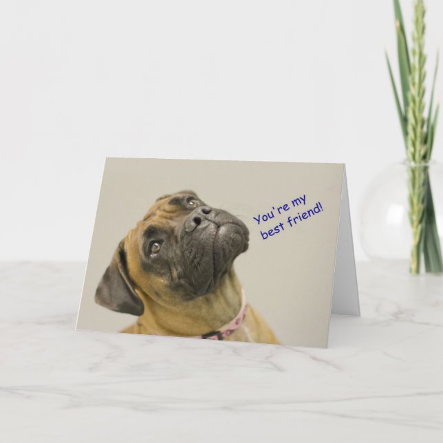 Boxer Birthday Card Karte (Vorderseite)