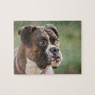 Boxer-Boxer-Dog-Puzzle