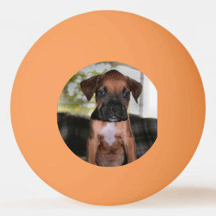 Boxer Bqby Tischtennisball