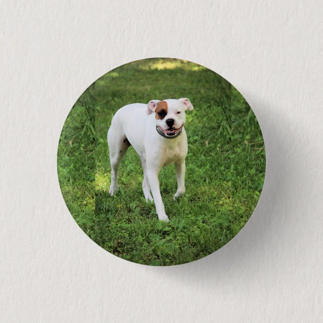 Boxer Button (Vorderseite)