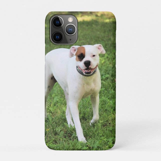 Boxer Case-Mate iPhone Hülle (Rückseite)