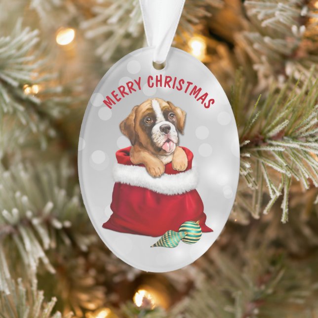 Boxer Chien Cadeau Surprise Ornement (Arbre)